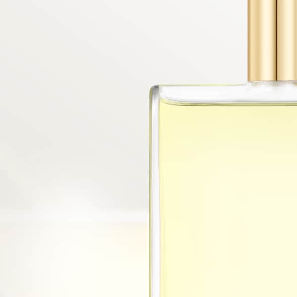 Pack de recambios Les Nécessaires à Parfum Eau de Toilette Rivières de Cartier Allégresse 2x30 ml Vaporizador
